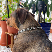 Load image into Gallery viewer, Dog Chain