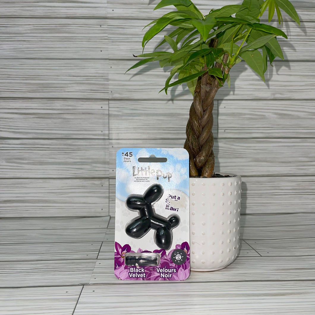 Air Freshener Black Velvet